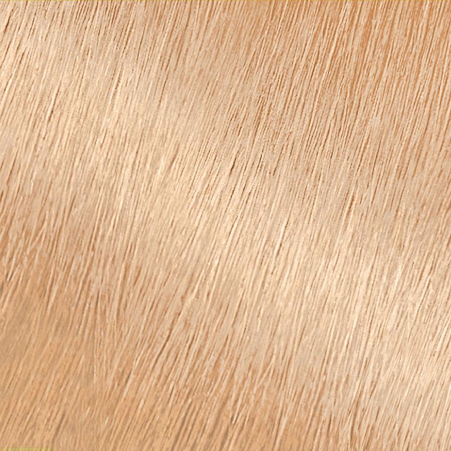 Garnier Nutrisse Ultra Color LB1 - Ultra Light Cool Blonde - Nourishing Color Cream Permanent Hair Color
